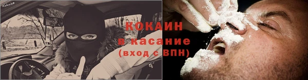 амф Богородск