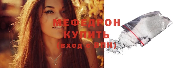винт Богданович